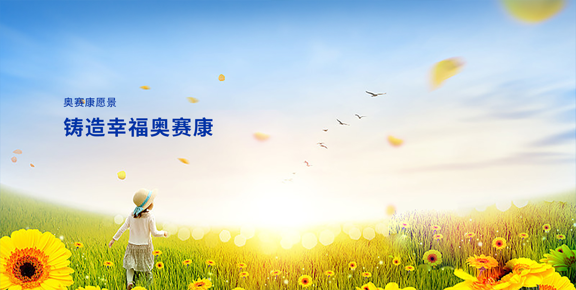 9888˹ά˹(ɷ)޹˾-ٷվ